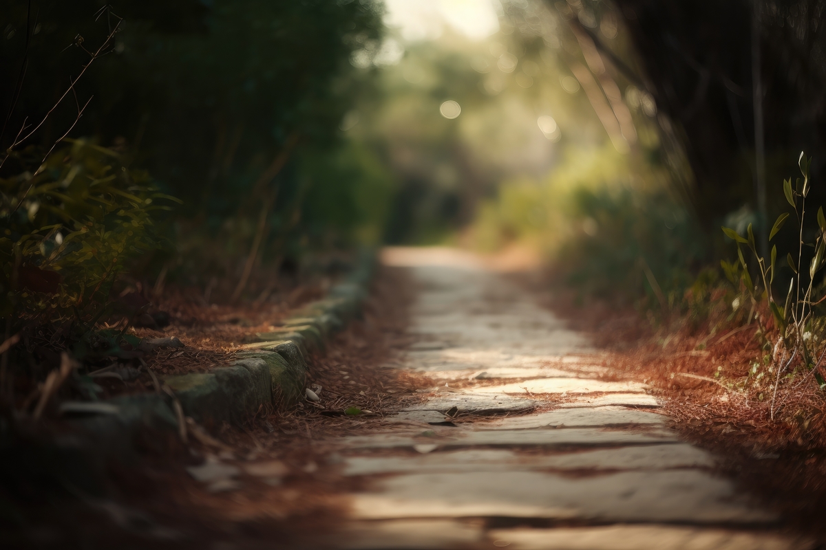 A close up of a path with a blurred background.
